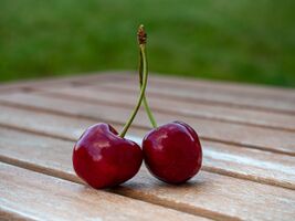 https---cdn.pixabay.com-photo-2020-06-22-05-55-cherries-couple-of-5327785 1280.jpg